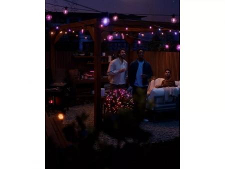 Philips  Hue Festavia Globe Lichterkette Erweiterung für den Außenbereich, 21 m, IP65