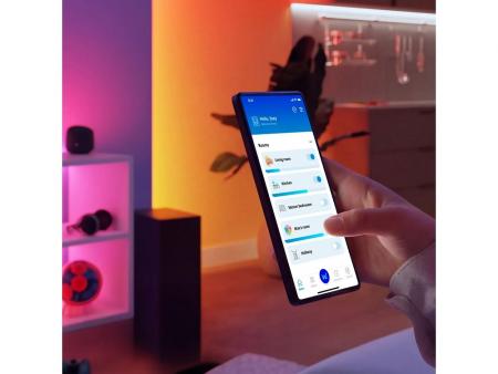 Philips WiZ Smart Home Fernbedienung – 9 Tasten, dimmbar, 4 Lichtszenen, Nachtlicht, Schwarz