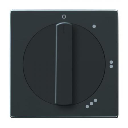 Busch-Jaeger 2542 DR/01-81 Zentralscheibe mit Drehgriff mit Aufdruck