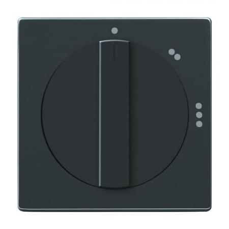 Busch-Jaeger 2542 DR/02-81 Zentralscheibe mit Drehgriff mit Aufdruck