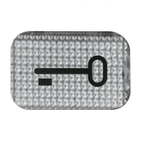 Busch-Jaeger 2145 TR Tastersymbol transparent Schlüssel
