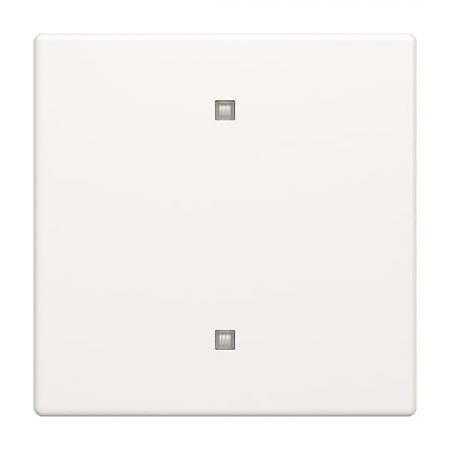 Busch-Jaeger 2570-10-884 2570-10-884 Wippe Elektroniktaster