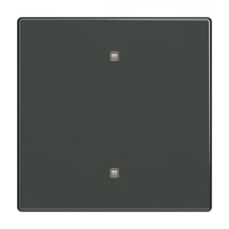 Busch-Jaeger 2570-10-81 2570-10-81 Wippe Elektroniktaster