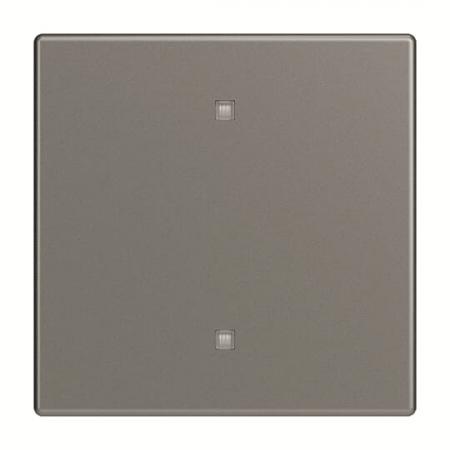 Busch-Jaeger 2570-10-803 2570-10-803 Wippe Elektroniktaster