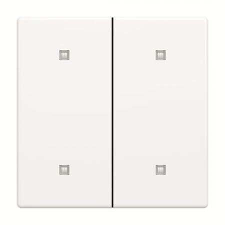 Busch-Jaeger 2570-20-84 2570-20-84 Wippe 2-fach Elekroniktaster