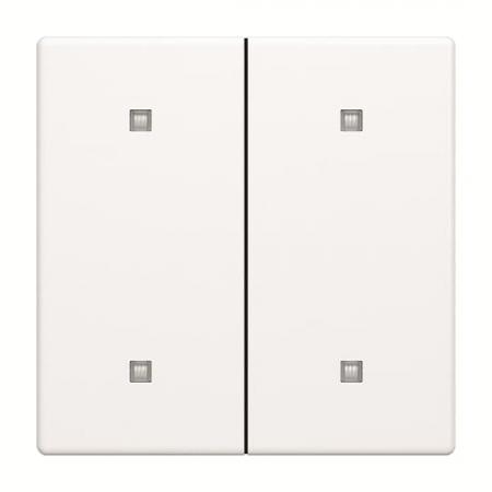 Busch-Jaeger 2570-20-884 2570-20-884 Wippe 2-fach Elekroniktaster