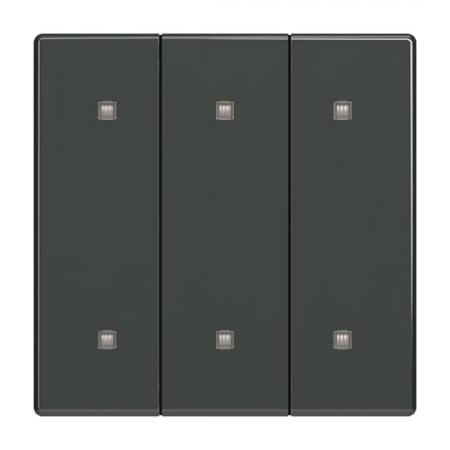 Busch-Jaeger 2570-30-81 2570-30-81 Wippe 3-fach Elekroniktaster