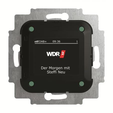 Busch-Jaeger 8215 U-101 Busch-Radio DAB+