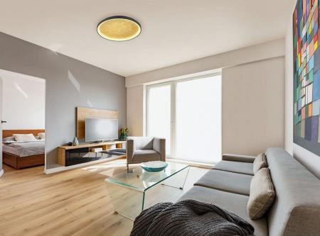 Helestra MORI LED Deckenleuchte 50 W 3820 lm 2700/3000 K Warmweiß CASAMBI Smart Ø 57 cm Schwarz-Gold