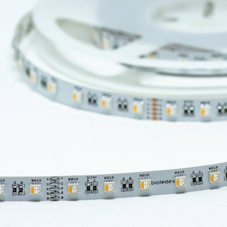 Bioledex LED Streifen 24V 19,2W/m 60LED/m RGBWW 5m Rolle Farbwechsel