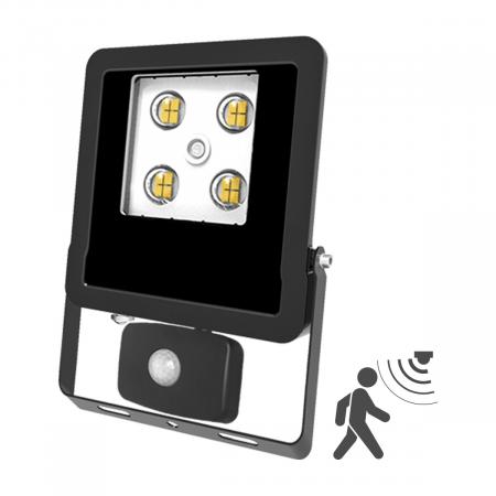 EVN LED Wallpainter mit Bewegugnsmelder, IP44 LFE100902BM