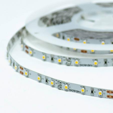 Bioledex LED Streifen 12V 5 je m 60LED je m 5m Rolle gelb
