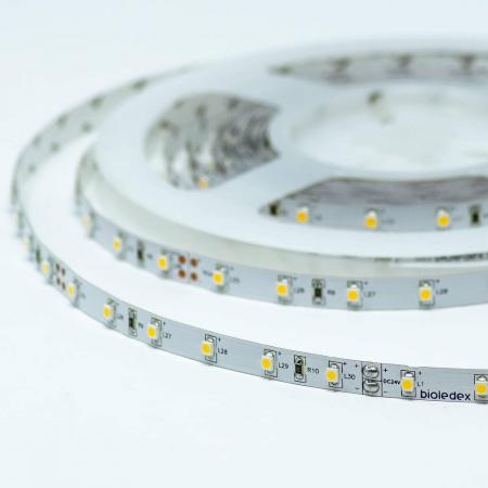 Bioledex LED Streifen 24V 4.8W/m 60LED/m 2700K 5m Rolle 90Ra warmweiss