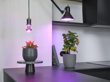 OSRAM LED Star Grow Lamp T 80 Pflanzenlampe 20W 650 lm 3 Lichtspektren E27 110° nicht dimmbar