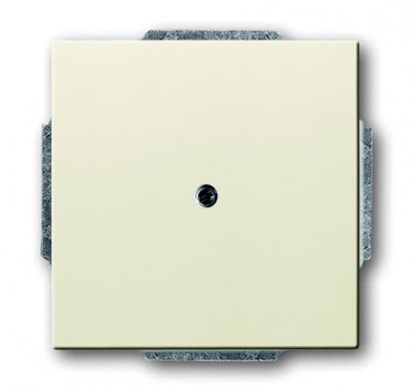 Busch-Jaeger 1742-82 Blindzentralscheibe mit Tragring