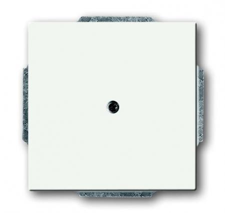 Busch-Jaeger 1742-884 Blindzentralscheibe mit Tragring