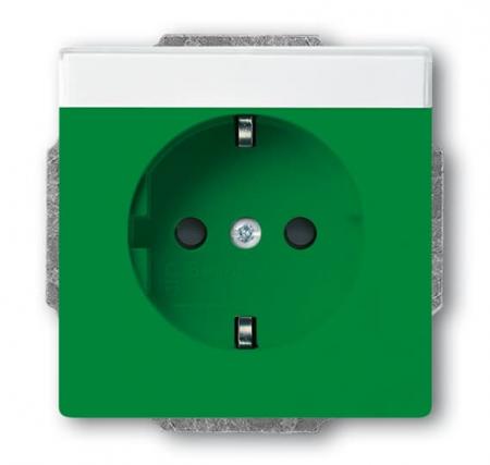 Busch-Jaeger 20 EUCNB-13-82 SCHUKO® Steckdosen-Einsatz mit Beschriftungsfeld
