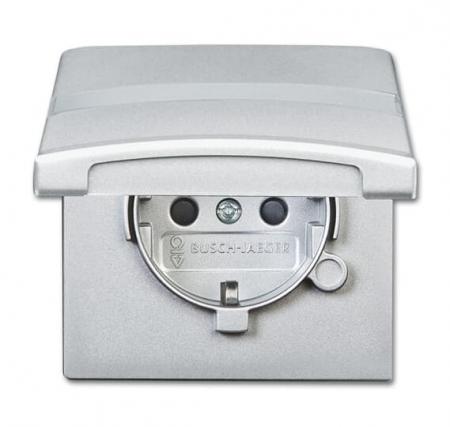 Busch-Jaeger 20 EUGKBN-33-101 SCHUKO® Steckdosen-Einsatz mit Klappdeckel und Beschriftungsfeld