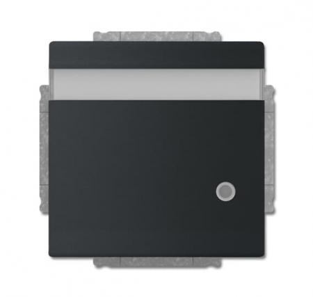 Busch-Jaeger 20 EUKNBL-885 SCHUKO® Steckdosen-Einsatz mit Klappdeckel Beschriftungsfeld und LED Kontrolllicht