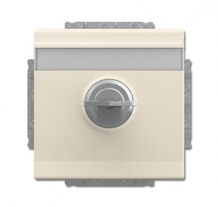 Busch-Jaeger 20 EUKNBSL-82 SCHUKO® Steckdosen-Einsatz mit Klappdeckel und Schloss