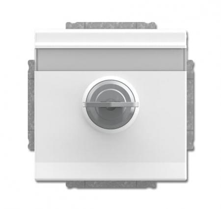 Busch-Jaeger 20 EUKNBSL-84-101 SCHUKO® Steckdosen-Einsatz mit Klappdeckel und Schloss
