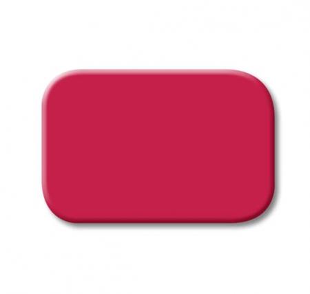Busch-Jaeger 2525-12 Tastersymbol rot