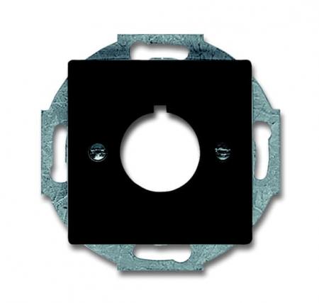 Busch-Jaeger 2533-81 Zentralscheibe mit Tragring