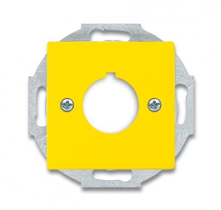 Busch-Jaeger 2533-82-15 Zentralscheibe mit Tragring