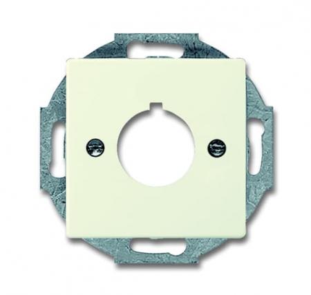 Busch-Jaeger 2533-82 Zentralscheibe mit Tragring