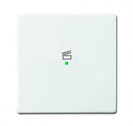 Busch-Jaeger 6233-10-84 Wippe 1-fach mit Symbol "Szene"