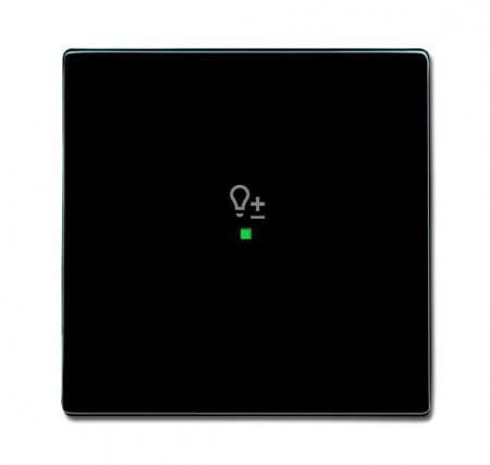 Busch-Jaeger 6234-10-81 Wippe 1-fach mit Symbol "Dimmer"