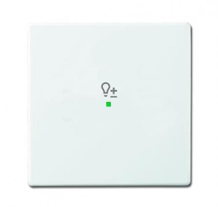Busch-Jaeger 6234-10-84 Wippe 1-fach mit Symbol "Dimmer"