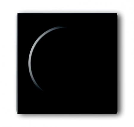Busch-Jaeger 6540-81-102-510 Zentralscheibe Dimmer future linear 6540-81-102-510