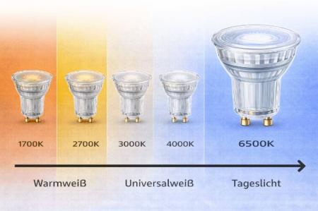 Ledvance GU10 PAR16 LED Spot 36° 4,3W wie 50W 6500K kaltweißes Licht Value Class