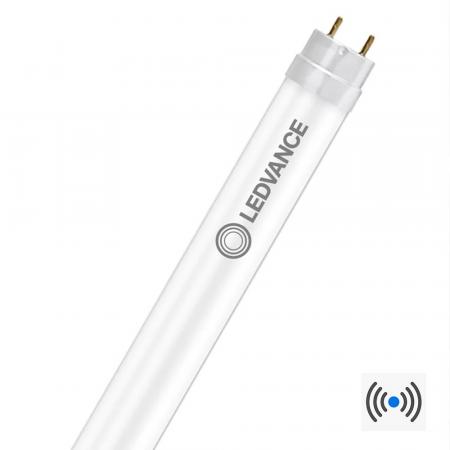 LEDVANCE LED-Röhre T8 G13 600 mm 6,8 W 840 1100 lm 4000 K Neutralweiß mit Bewegungsmelder für KVG/VVG und 230 V inkl. Ersatzstarter
