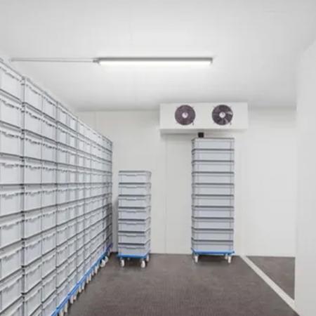 12 Sparpack 60cm Philips Ledinaire Feuchtraumleuchte WT060C LED18S 840 PSU 4000K neutralweißes Licht IP66 1800lm 15W