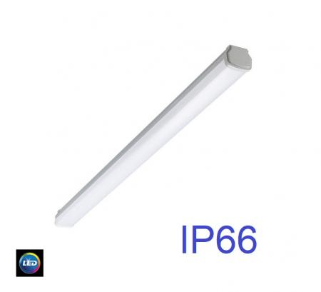 120cm Philips Ledinaire Feuchtraumleuchte WT060C 20W 2500 lm 4000K IP66 IK08 durchverdrahtet