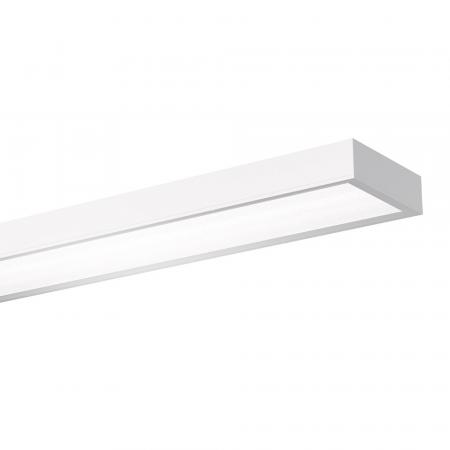 Siteco Sport 31, ballwurfsichere Leuchte  direkt symmetrisch breit strahlend, DALI 2, für abgehängte Montage, Anbau, Einbau, 4000K