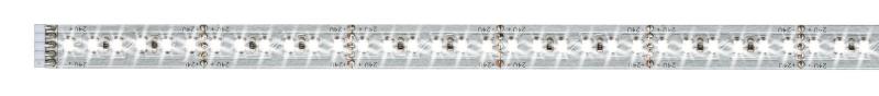 Paulmann 70569 Function MaxLED 1000 Strip 1m 6500K 11.5W 24V Silber