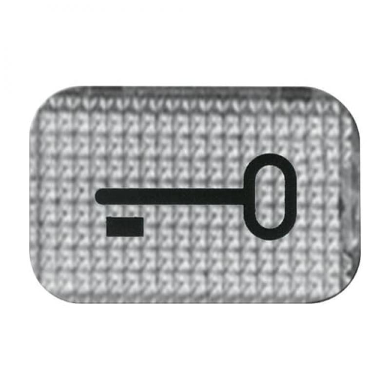 Busch-Jaeger 2145 TR Tastersymbol transparent Schlüssel