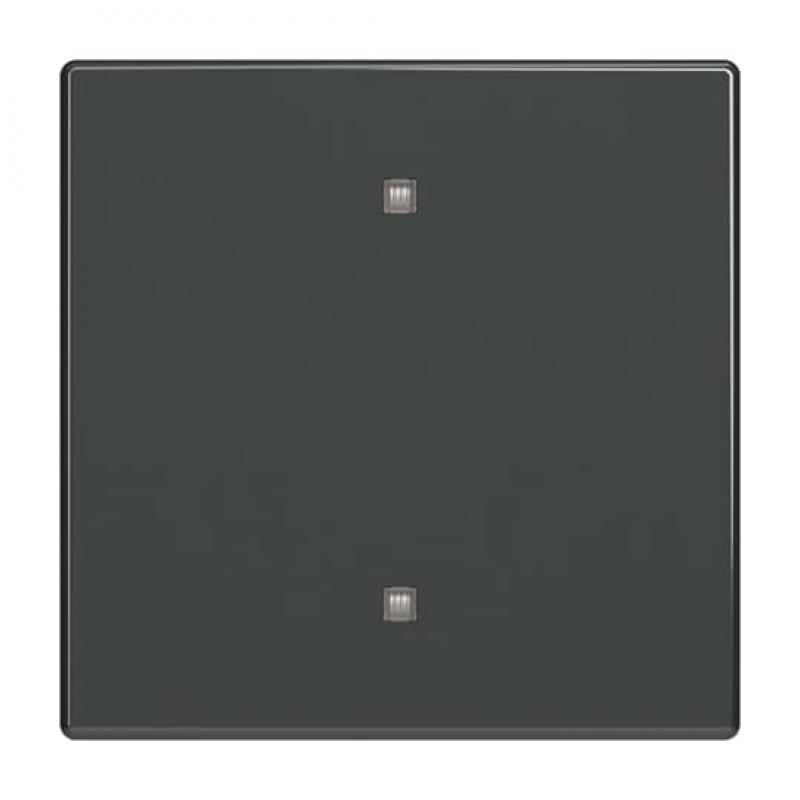 Busch-Jaeger 2570-10-81 2570-10-81 Wippe Elektroniktaster