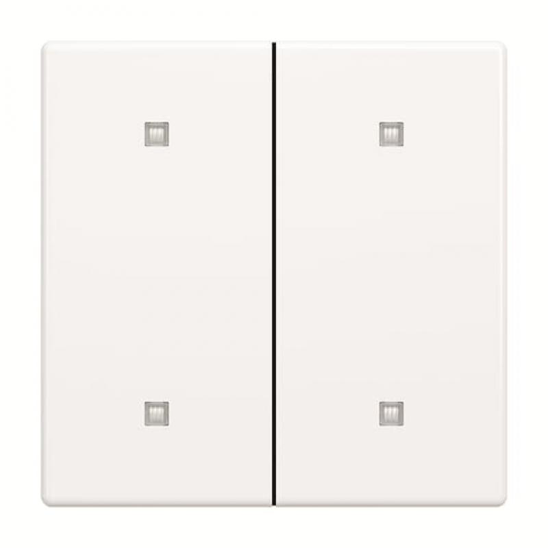 Busch-Jaeger 2570-20-84 2570-20-84 Wippe 2-fach Elekroniktaster
