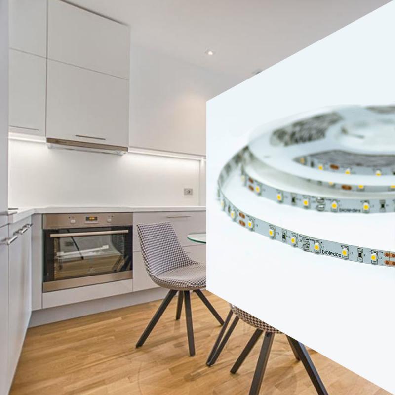 Bioledex LED Streifen 12V 5W je m 60LED jem 5000K 5m Rolle tageslichtweiss