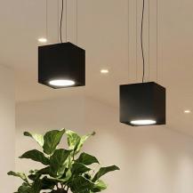 CDS LED-Pendelleuchte X-LINE SINGLEX HORTICULTURE – Professionelle Pflanzenbeleuchtung mit Sun-Like Full Spectrum und CRI 98