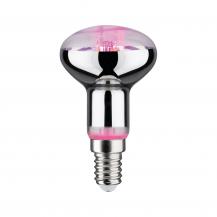 Paulmann 28734 LED Reflektor Plant R50 E14 6.5W