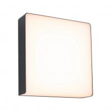 Paulmann  94840 Solar LED Außenwandleuchte Azalena mit Bewegungsmelder