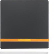 Berker 16216086 Wippe m 2 Linsen Q.x anthrazit samt