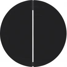 Berker MAN0306624 TASTE 2F R.x SCHWARZ MATT