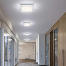 Helestra COSI LED-Deckenleuchte 26W 1840lm 2900 K Warmweiß CRI >90 mattnickel dimmbar