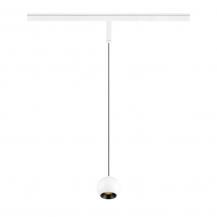 SLV 1010463 LIGHT EYE 2.0 48V Pendelleuchte DALI weiss/schwarz